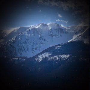 Meet your Posher, Darlene